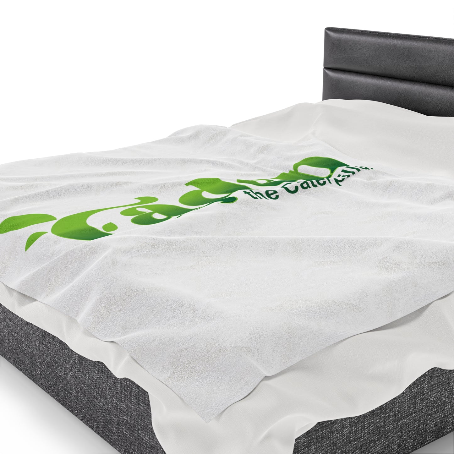 Caden Velveteen Plush Blanket
